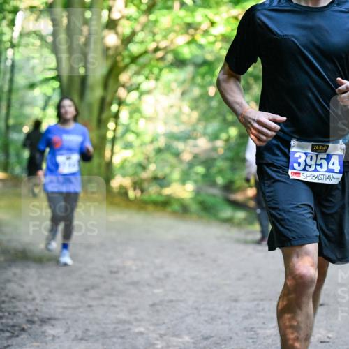 28.09.2025 - 33. Volkslauf durch das schöne Alstertal Dr. Thomas Lammeyer http://msf.ph/oto/8958022 28.09.2025 10:50:08 Laufen 3954 meine-sportfotos.de