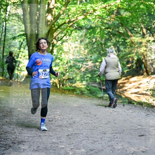 28.09.2025 - 33. Volkslauf durch das schöne Alstertal Dr. Thomas Lammeyer http://msf.ph/oto/8958024 28.09.2025 10:50:09 Laufen 3275 meine-sportfotos.de