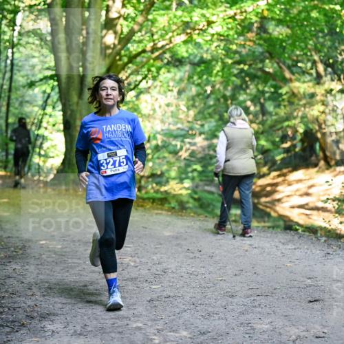 28.09.2025 - 33. Volkslauf durch das schöne Alstertal Dr. Thomas Lammeyer http://msf.ph/oto/8958025 28.09.2025 10:50:09 Laufen 3275 meine-sportfotos.de