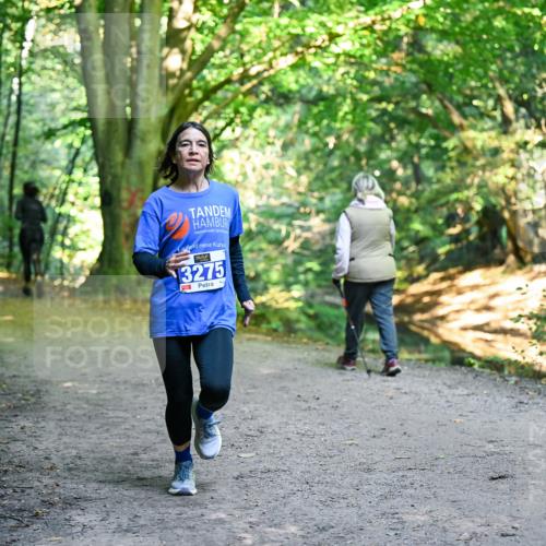 28.09.2025 - 33. Volkslauf durch das schöne Alstertal Dr. Thomas Lammeyer http://msf.ph/oto/8958027 28.09.2025 10:50:09 Laufen 3275 meine-sportfotos.de