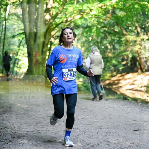 28.09.2025 - 33. Volkslauf durch das schöne Alstertal Dr. Thomas Lammeyer http://msf.ph/oto/8958029 28.09.2025 10:50:09 Laufen 3275 meine-sportfotos.de