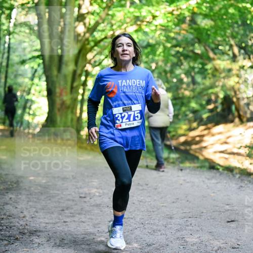 28.09.2025 - 33. Volkslauf durch das schöne Alstertal Dr. Thomas Lammeyer http://msf.ph/oto/8958030 28.09.2025 10:50:10 Laufen 3275 meine-sportfotos.de