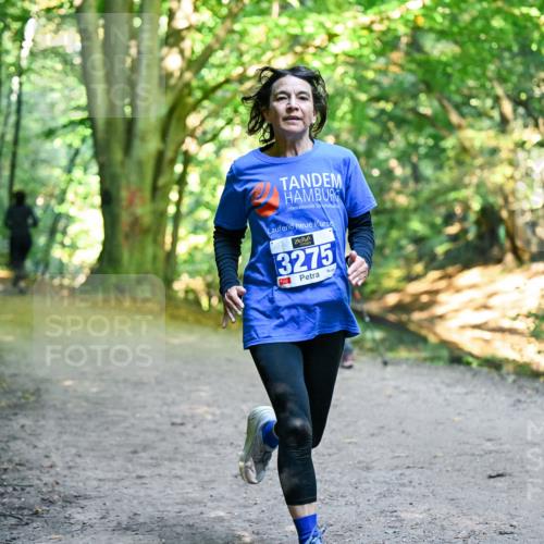 28.09.2025 - 33. Volkslauf durch das schöne Alstertal Dr. Thomas Lammeyer http://msf.ph/oto/8958031 28.09.2025 10:50:10 Laufen 3275 meine-sportfotos.de