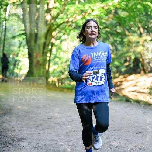 28.09.2025 - 33. Volkslauf durch das schöne Alstertal Dr. Thomas Lammeyer http://msf.ph/oto/8958032 28.09.2025 10:50:10 Laufen 3275 meine-sportfotos.de