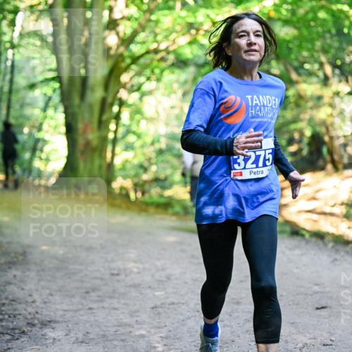 28.09.2025 - 33. Volkslauf durch das schöne Alstertal Dr. Thomas Lammeyer http://msf.ph/oto/8958033 28.09.2025 10:50:10 Laufen 3275 meine-sportfotos.de