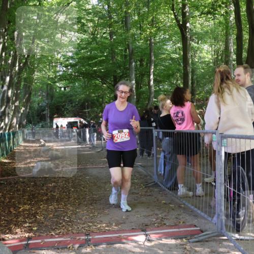 28.09.2025 - 33. Volkslauf durch das schöne Alstertal Strokosch-Dieckow http://msf.ph/oto/8958034 28.09.2025 13:07:25 Ziel  meine-sportfotos.de