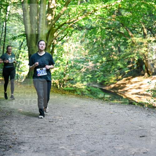 28.09.2025 - 33. Volkslauf durch das schöne Alstertal Dr. Thomas Lammeyer http://msf.ph/oto/8958035 28.09.2025 10:50:15 Laufen 3115, 3346, 3 meine-sportfotos.de