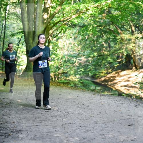 28.09.2025 - 33. Volkslauf durch das schöne Alstertal Dr. Thomas Lammeyer http://msf.ph/oto/8958036 28.09.2025 10:50:15 Laufen 3115, 3346 meine-sportfotos.de