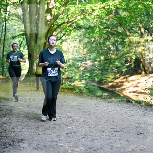 28.09.2025 - 33. Volkslauf durch das schöne Alstertal Dr. Thomas Lammeyer http://msf.ph/oto/8958038 28.09.2025 10:50:15 Laufen 3115, 3346 meine-sportfotos.de