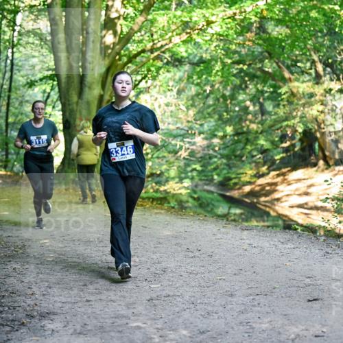 28.09.2025 - 33. Volkslauf durch das schöne Alstertal Dr. Thomas Lammeyer http://msf.ph/oto/8958039 28.09.2025 10:50:15 Laufen 3115, 3346 meine-sportfotos.de