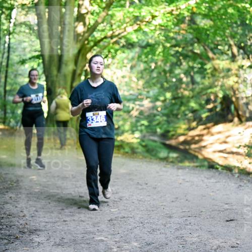 28.09.2025 - 33. Volkslauf durch das schöne Alstertal Dr. Thomas Lammeyer http://msf.ph/oto/8958040 28.09.2025 10:50:15 Laufen 3346 meine-sportfotos.de