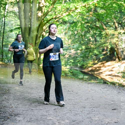28.09.2025 - 33. Volkslauf durch das schöne Alstertal Dr. Thomas Lammeyer http://msf.ph/oto/8958041 28.09.2025 10:50:15 Laufen 3346 meine-sportfotos.de