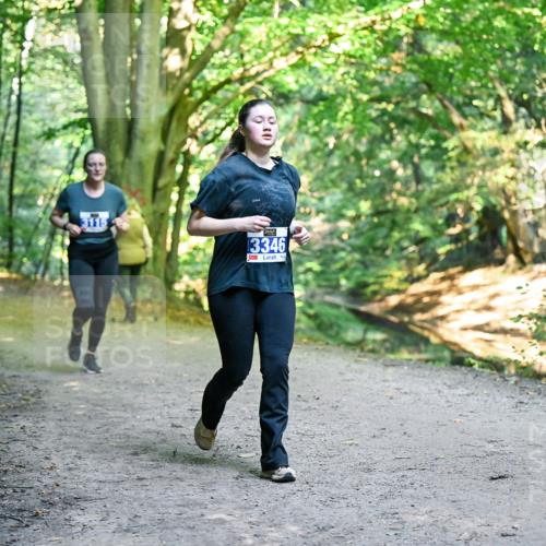 28.09.2025 - 33. Volkslauf durch das schöne Alstertal Dr. Thomas Lammeyer http://msf.ph/oto/8958042 28.09.2025 10:50:16 Laufen 3115, 3346 meine-sportfotos.de