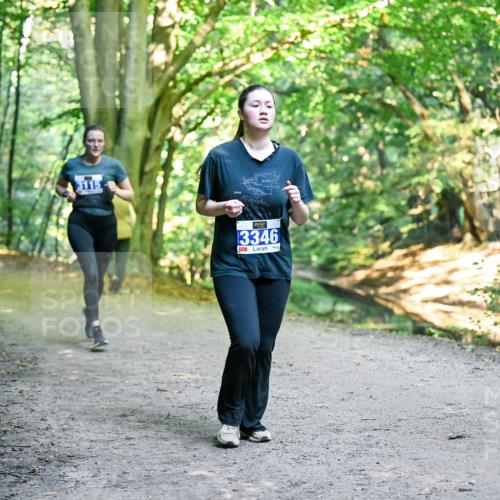 28.09.2025 - 33. Volkslauf durch das schöne Alstertal Dr. Thomas Lammeyer http://msf.ph/oto/8958043 28.09.2025 10:50:16 Laufen 311, 3346 meine-sportfotos.de