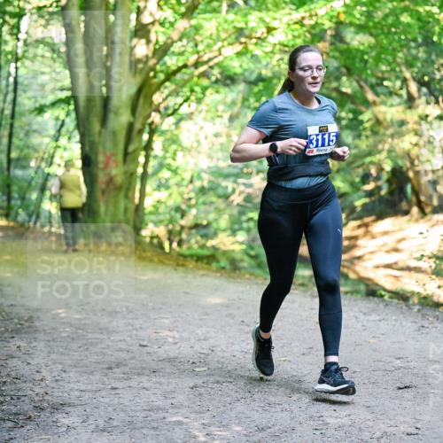 28.09.2025 - 33. Volkslauf durch das schöne Alstertal Dr. Thomas Lammeyer http://msf.ph/oto/8958056 28.09.2025 10:50:17 Laufen 3115 meine-sportfotos.de