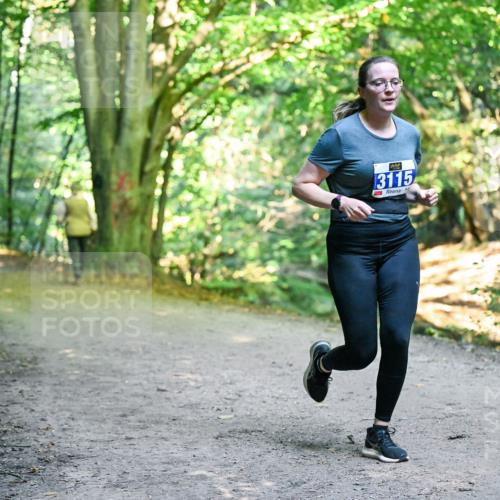 28.09.2025 - 33. Volkslauf durch das schöne Alstertal Dr. Thomas Lammeyer http://msf.ph/oto/8958057 28.09.2025 10:50:18 Laufen 3115 meine-sportfotos.de