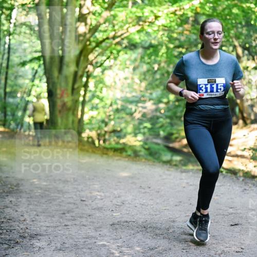 28.09.2025 - 33. Volkslauf durch das schöne Alstertal Dr. Thomas Lammeyer http://msf.ph/oto/8958058 28.09.2025 10:50:18 Laufen 3115 meine-sportfotos.de