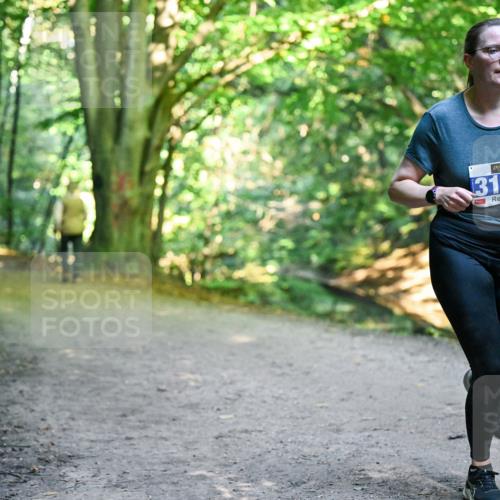 28.09.2025 - 33. Volkslauf durch das schöne Alstertal Dr. Thomas Lammeyer http://msf.ph/oto/8958060 28.09.2025 10:50:18 Laufen 3115 meine-sportfotos.de