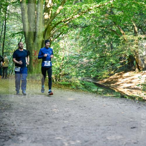 28.09.2025 - 33. Volkslauf durch das schöne Alstertal Dr. Thomas Lammeyer http://msf.ph/oto/8958063 28.09.2025 10:50:23 Laufen 3293, 3199, 3198 meine-sportfotos.de
