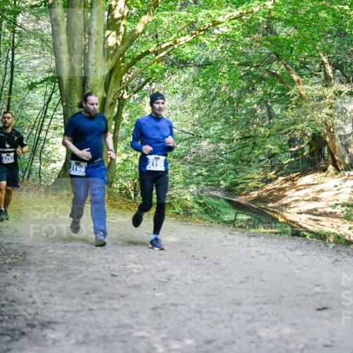28.09.2025 - 33. Volkslauf durch das schöne Alstertal Dr. Thomas Lammeyer http://msf.ph/oto/8958070 28.09.2025 10:50:24 Laufen 393, 3293, 3199 meine-sportfotos.de