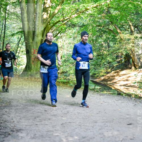 28.09.2025 - 33. Volkslauf durch das schöne Alstertal Dr. Thomas Lammeyer http://msf.ph/oto/8958072 28.09.2025 10:50:24 Laufen 3293, 3199 meine-sportfotos.de