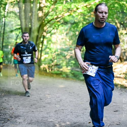 28.09.2025 - 33. Volkslauf durch das schöne Alstertal Dr. Thomas Lammeyer http://msf.ph/oto/8958086 28.09.2025 10:50:26 Laufen 99 meine-sportfotos.de