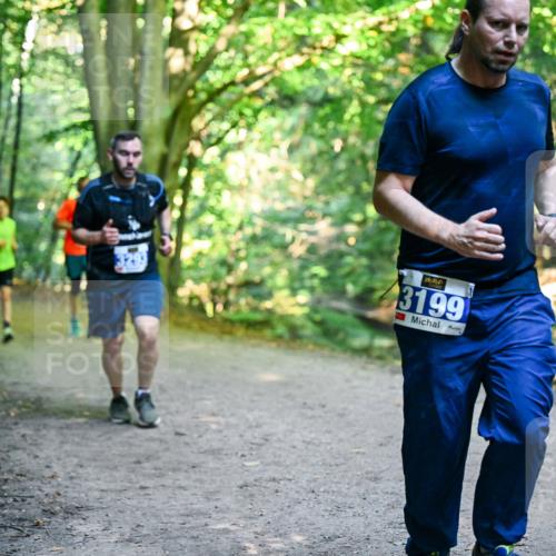 28.09.2025 - 33. Volkslauf durch das schöne Alstertal Dr. Thomas Lammeyer http://msf.ph/oto/8958087 28.09.2025 10:50:26 Laufen 7, 3199 meine-sportfotos.de