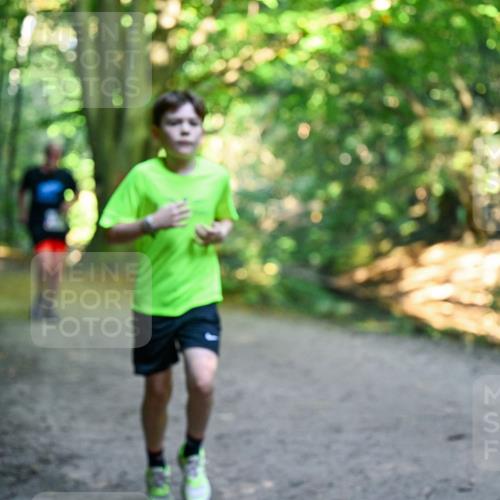 28.09.2025 - 33. Volkslauf durch das schöne Alstertal Dr. Thomas Lammeyer http://msf.ph/oto/8958117 28.09.2025 10:50:31 Laufen  meine-sportfotos.de