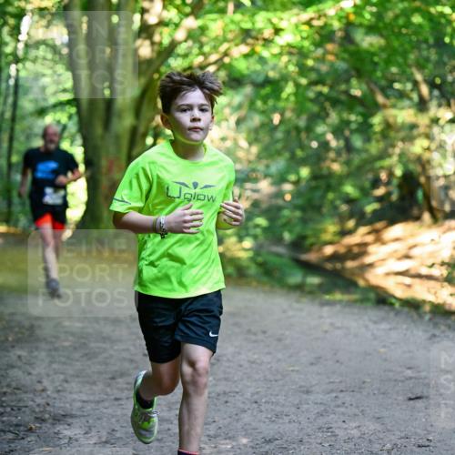 28.09.2025 - 33. Volkslauf durch das schöne Alstertal Dr. Thomas Lammeyer http://msf.ph/oto/8958118 28.09.2025 10:50:31 Laufen  meine-sportfotos.de