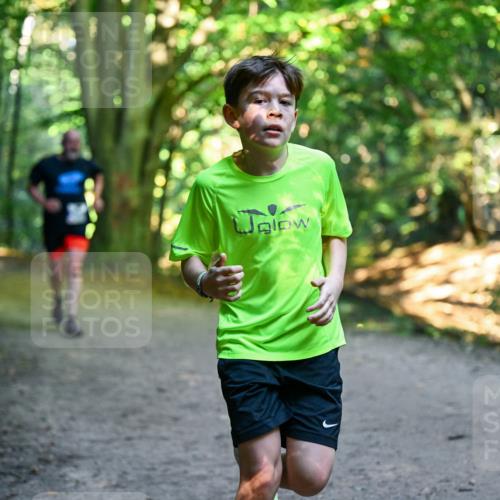 28.09.2025 - 33. Volkslauf durch das schöne Alstertal Dr. Thomas Lammeyer http://msf.ph/oto/8958122 28.09.2025 10:50:31 Laufen  meine-sportfotos.de