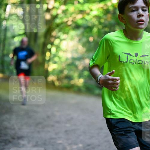 28.09.2025 - 33. Volkslauf durch das schöne Alstertal Dr. Thomas Lammeyer http://msf.ph/oto/8958125 28.09.2025 10:50:32 Laufen  meine-sportfotos.de