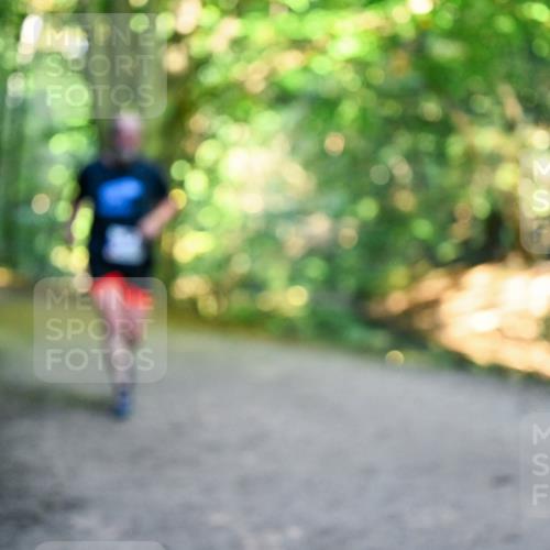 28.09.2025 - 33. Volkslauf durch das schöne Alstertal Dr. Thomas Lammeyer http://msf.ph/oto/8958127 28.09.2025 10:50:32 Laufen  meine-sportfotos.de
