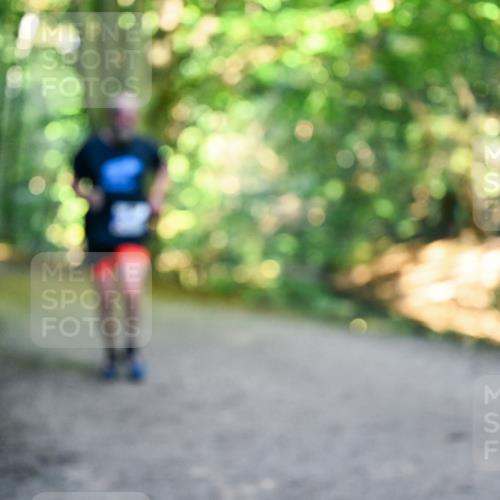 28.09.2025 - 33. Volkslauf durch das schöne Alstertal Dr. Thomas Lammeyer http://msf.ph/oto/8958128 28.09.2025 10:50:33 Laufen  meine-sportfotos.de
