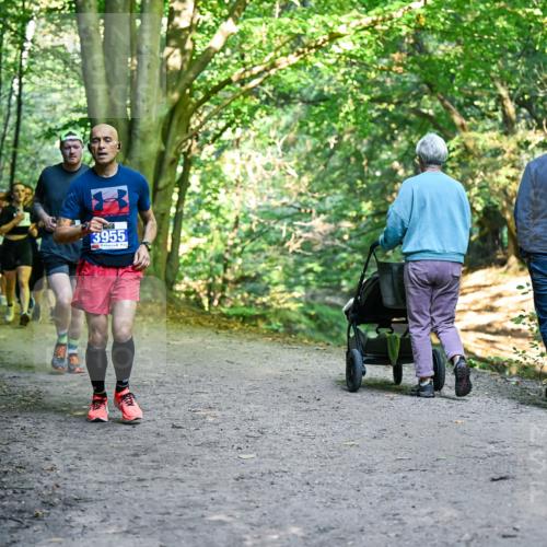 28.09.2025 - 33. Volkslauf durch das schöne Alstertal Dr. Thomas Lammeyer http://msf.ph/oto/8958142 28.09.2025 10:50:39 Laufen 3955 meine-sportfotos.de