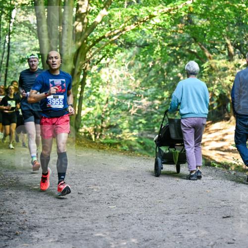 28.09.2025 - 33. Volkslauf durch das schöne Alstertal Dr. Thomas Lammeyer http://msf.ph/oto/8958143 28.09.2025 10:50:39 Laufen 3955 meine-sportfotos.de