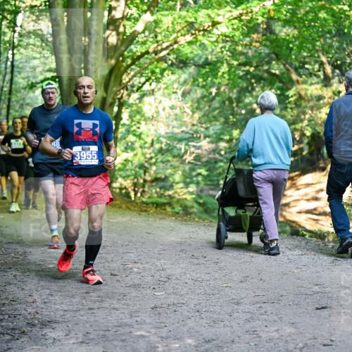 28.09.2025 - 33. Volkslauf durch das schöne Alstertal Dr. Thomas Lammeyer http://msf.ph/oto/8958144 28.09.2025 10:50:40 Laufen 48, 3955 meine-sportfotos.de