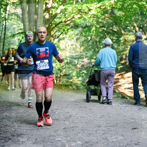 28.09.2025 - 33. Volkslauf durch das schöne Alstertal Dr. Thomas Lammeyer http://msf.ph/oto/8958148 28.09.2025 10:50:40 Laufen 3955 meine-sportfotos.de