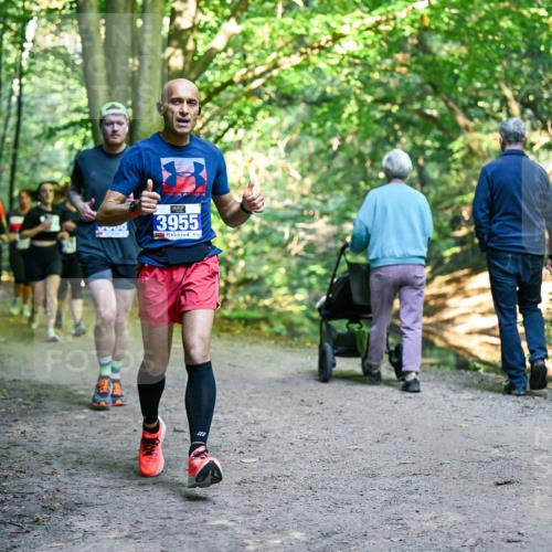 28.09.2025 - 33. Volkslauf durch das schöne Alstertal Dr. Thomas Lammeyer http://msf.ph/oto/8958149 28.09.2025 10:50:40 Laufen 3955, 112 meine-sportfotos.de