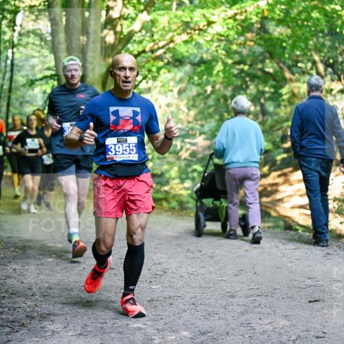 28.09.2025 - 33. Volkslauf durch das schöne Alstertal Dr. Thomas Lammeyer http://msf.ph/oto/8958150 28.09.2025 10:50:40 Laufen 3955 meine-sportfotos.de