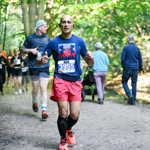 28.09.2025 - 33. Volkslauf durch das schöne Alstertal Dr. Thomas Lammeyer http://msf.ph/oto/8958154 28.09.2025 10:50:41 Laufen 3955 meine-sportfotos.de