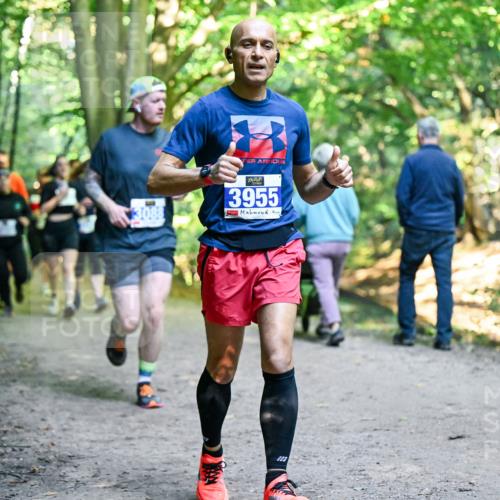 28.09.2025 - 33. Volkslauf durch das schöne Alstertal Dr. Thomas Lammeyer http://msf.ph/oto/8958155 28.09.2025 10:50:41 Laufen 3088, 3955 meine-sportfotos.de