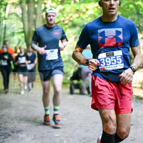 28.09.2025 - 33. Volkslauf durch das schöne Alstertal Dr. Thomas Lammeyer http://msf.ph/oto/8958159 28.09.2025 10:50:41 Laufen 3955 meine-sportfotos.de