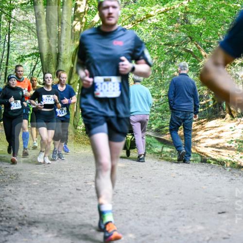 28.09.2025 - 33. Volkslauf durch das schöne Alstertal Dr. Thomas Lammeyer http://msf.ph/oto/8958161 28.09.2025 10:50:42 Laufen 3940, 3147, 3088 meine-sportfotos.de