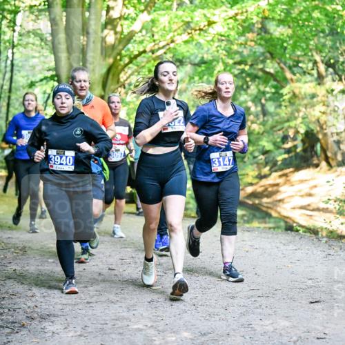 28.09.2025 - 33. Volkslauf durch das schöne Alstertal Dr. Thomas Lammeyer http://msf.ph/oto/8958173 28.09.2025 10:50:44 Laufen 3940, 3147 meine-sportfotos.de