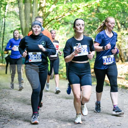 28.09.2025 - 33. Volkslauf durch das schöne Alstertal Dr. Thomas Lammeyer http://msf.ph/oto/8958178 28.09.2025 10:50:44 Laufen 3940, 22, 3147 meine-sportfotos.de