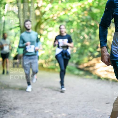 28.09.2025 - 33. Volkslauf durch das schöne Alstertal Dr. Thomas Lammeyer http://msf.ph/oto/8958191 28.09.2025 10:50:48 Laufen 3033 meine-sportfotos.de