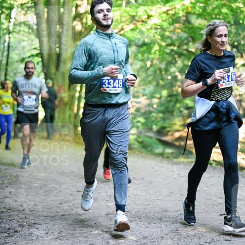 28.09.2025 - 33. Volkslauf durch das schöne Alstertal Dr. Thomas Lammeyer http://msf.ph/oto/8958194 28.09.2025 10:50:49 Laufen 3348, 3376, 484438, 18, 44, 18, 4 meine-sportfotos.de
