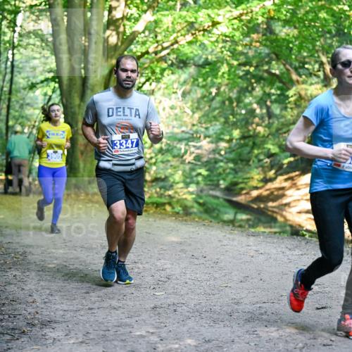 28.09.2025 - 33. Volkslauf durch das schöne Alstertal Dr. Thomas Lammeyer http://msf.ph/oto/8958204 28.09.2025 10:50:51 Laufen 3347 meine-sportfotos.de