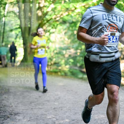 28.09.2025 - 33. Volkslauf durch das schöne Alstertal Dr. Thomas Lammeyer http://msf.ph/oto/8958213 28.09.2025 10:50:52 Laufen 347 meine-sportfotos.de