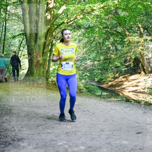 28.09.2025 - 33. Volkslauf durch das schöne Alstertal Dr. Thomas Lammeyer http://msf.ph/oto/8958215 28.09.2025 10:50:53 Laufen 2012, 3905 meine-sportfotos.de
